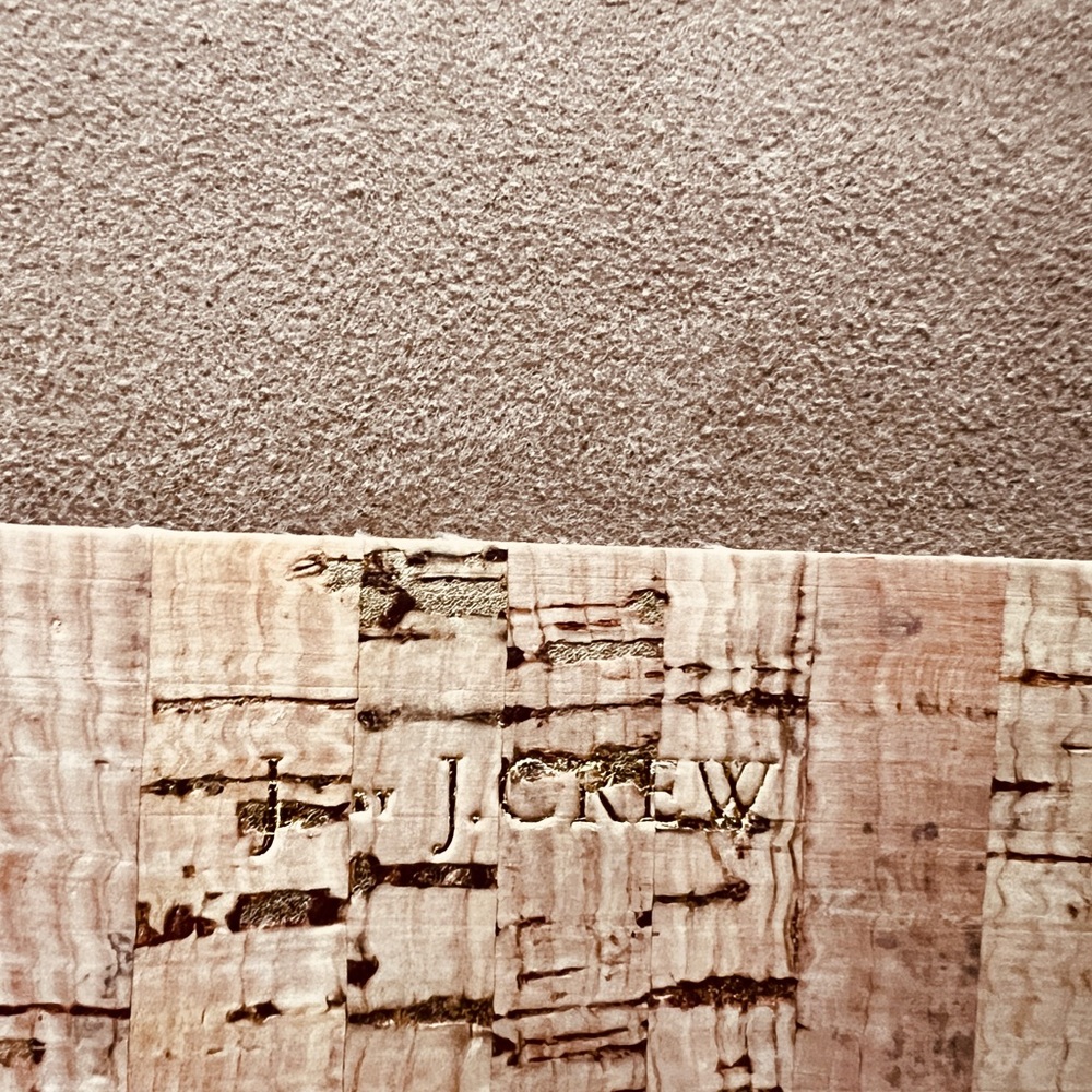 J.Crew gold speckled cork clutch